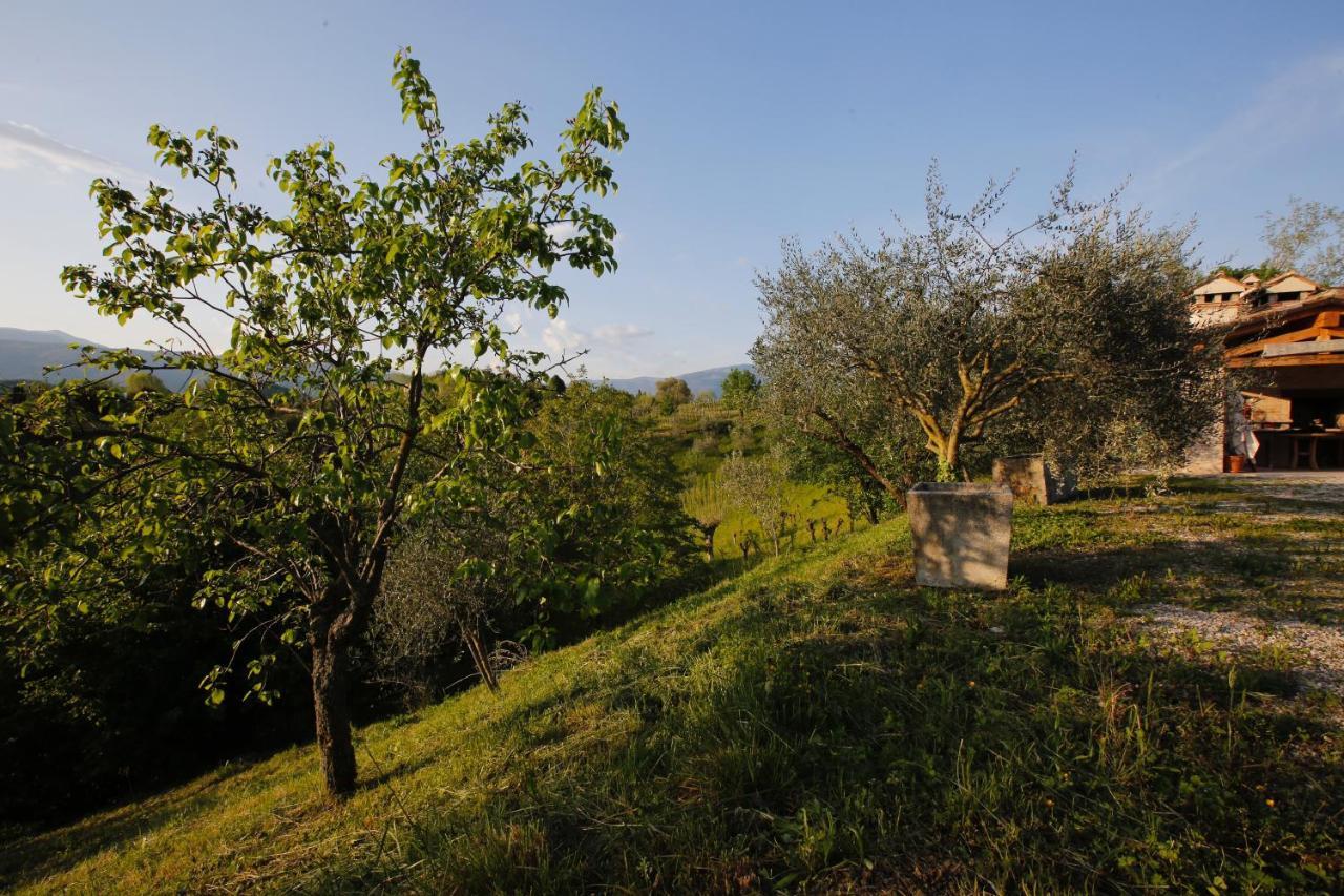 Asolo Norah'S Hill Agri Rooms Monfumo エクステリア 写真