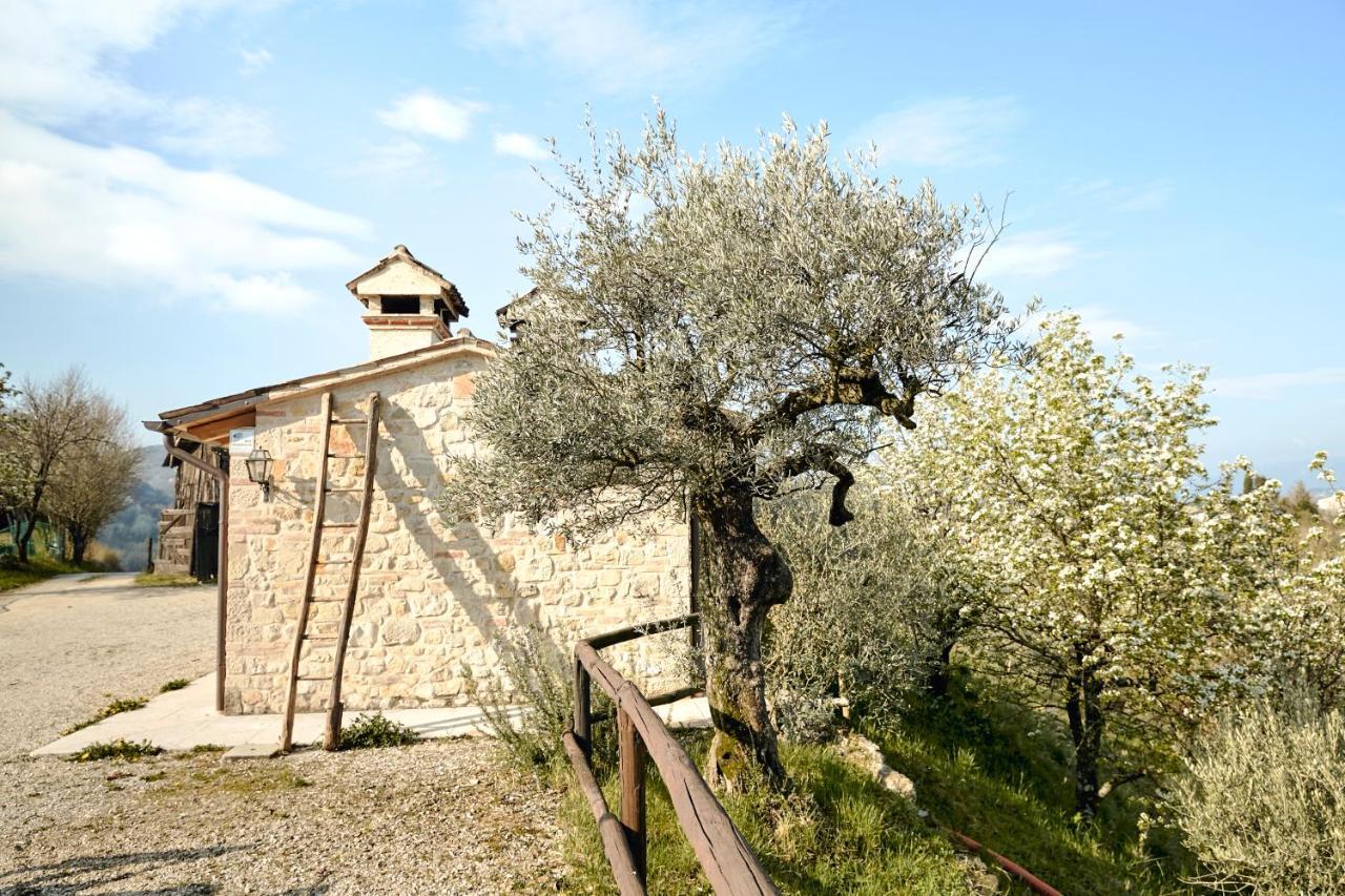 Asolo Norah'S Hill Agri Rooms Monfumo エクステリア 写真