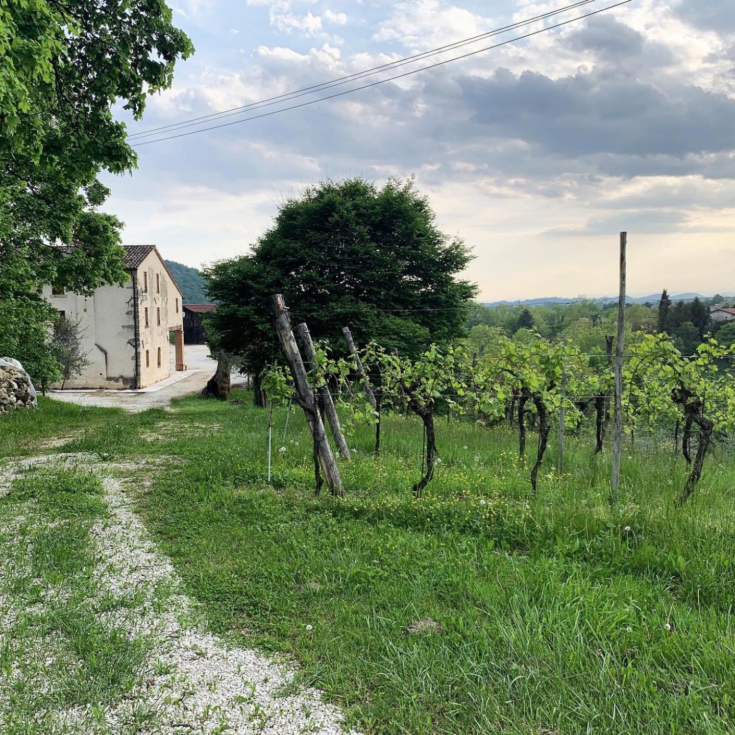 Asolo Norah'S Hill Agri Rooms Monfumo エクステリア 写真