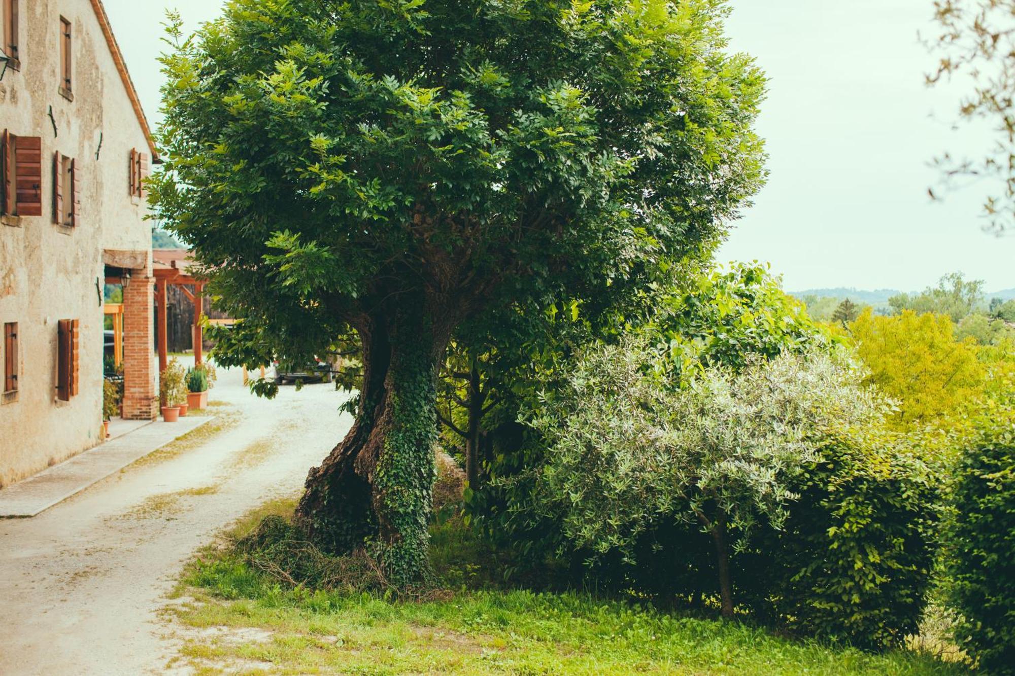 Asolo Norah'S Hill Agri Rooms Monfumo エクステリア 写真