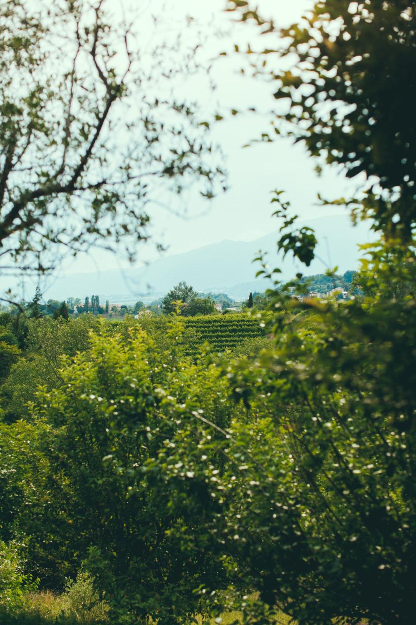 Asolo Norah'S Hill Agri Rooms Monfumo エクステリア 写真